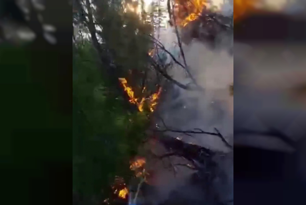 В Хабаровском крае ввели режим ЧС