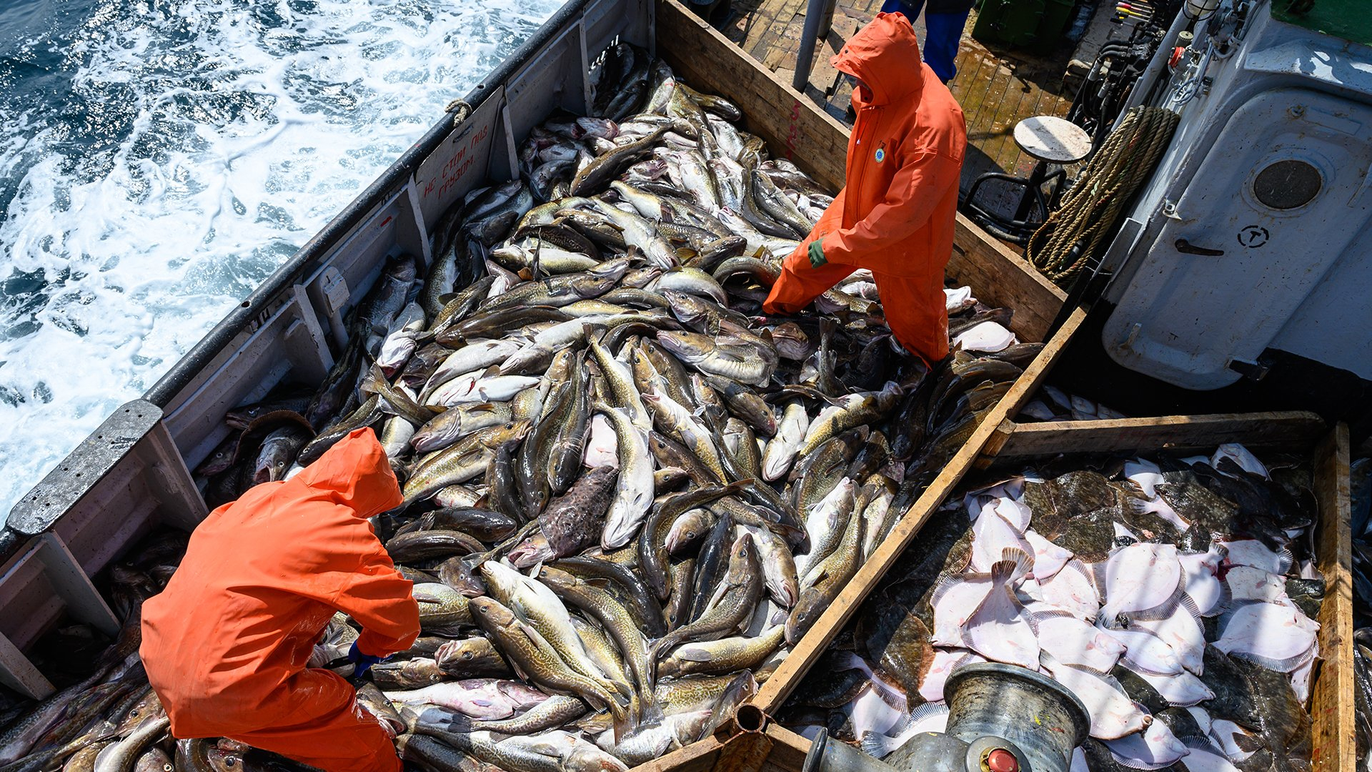 Россия переориентировалась на поставки морепродуктов из дружественных стран