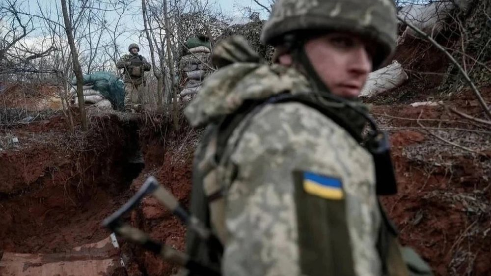 Боевики нацполка «Азов», вернувшиеся из Турции на Украину, будут участвовать в боевых действиях