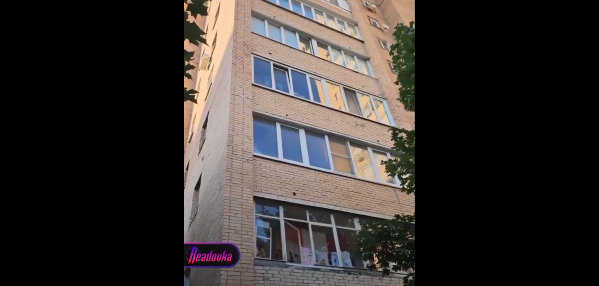 В Подмосковье мужчина выбросил из окна 11 этажа свою собаку 