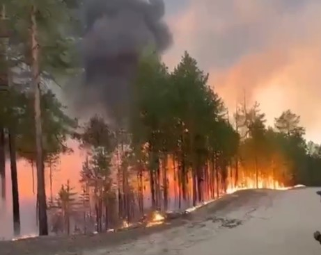 В Якутии полыхает 98 природных пожаров на территории 13 районов