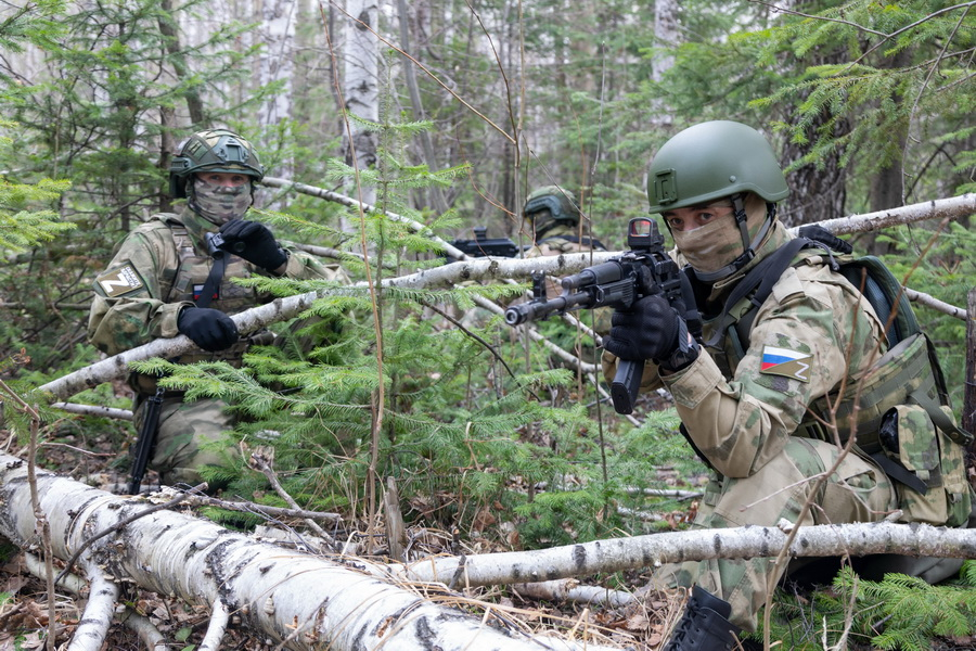 В рамках контрбатарейной борьбы на Краснолиманском направлении поражены орудия Д-20 и миномет ВСУ