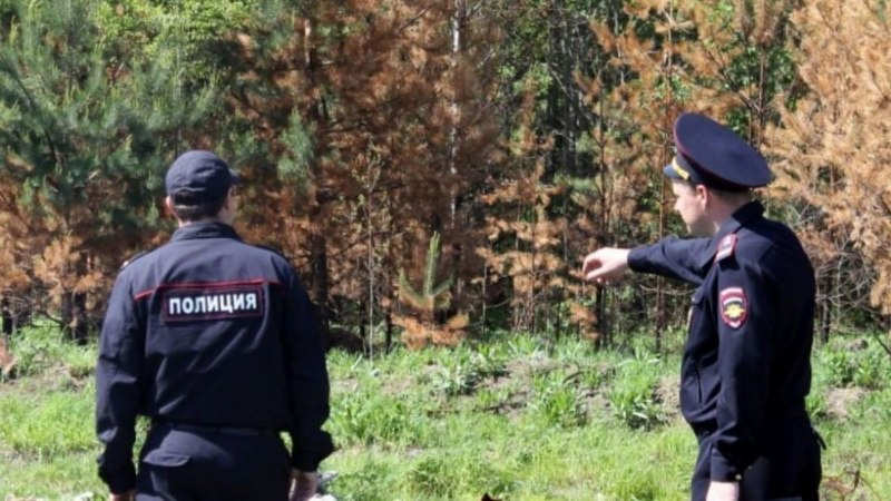 В Ленинградской области в пакете нашли новорожденного младенца