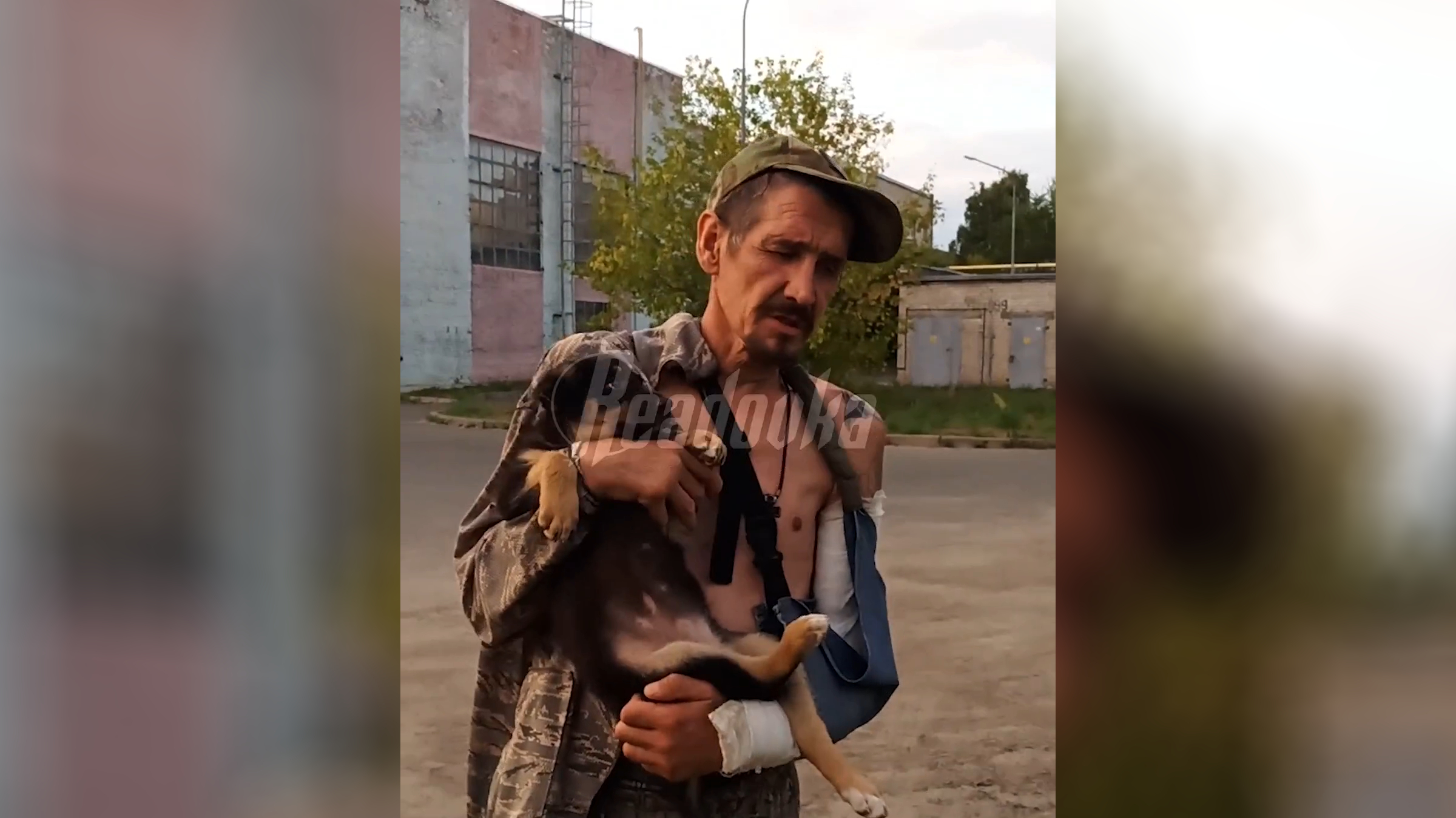 Российский военнослужащий, рискуя собой, спасал собак и кошек на фронте