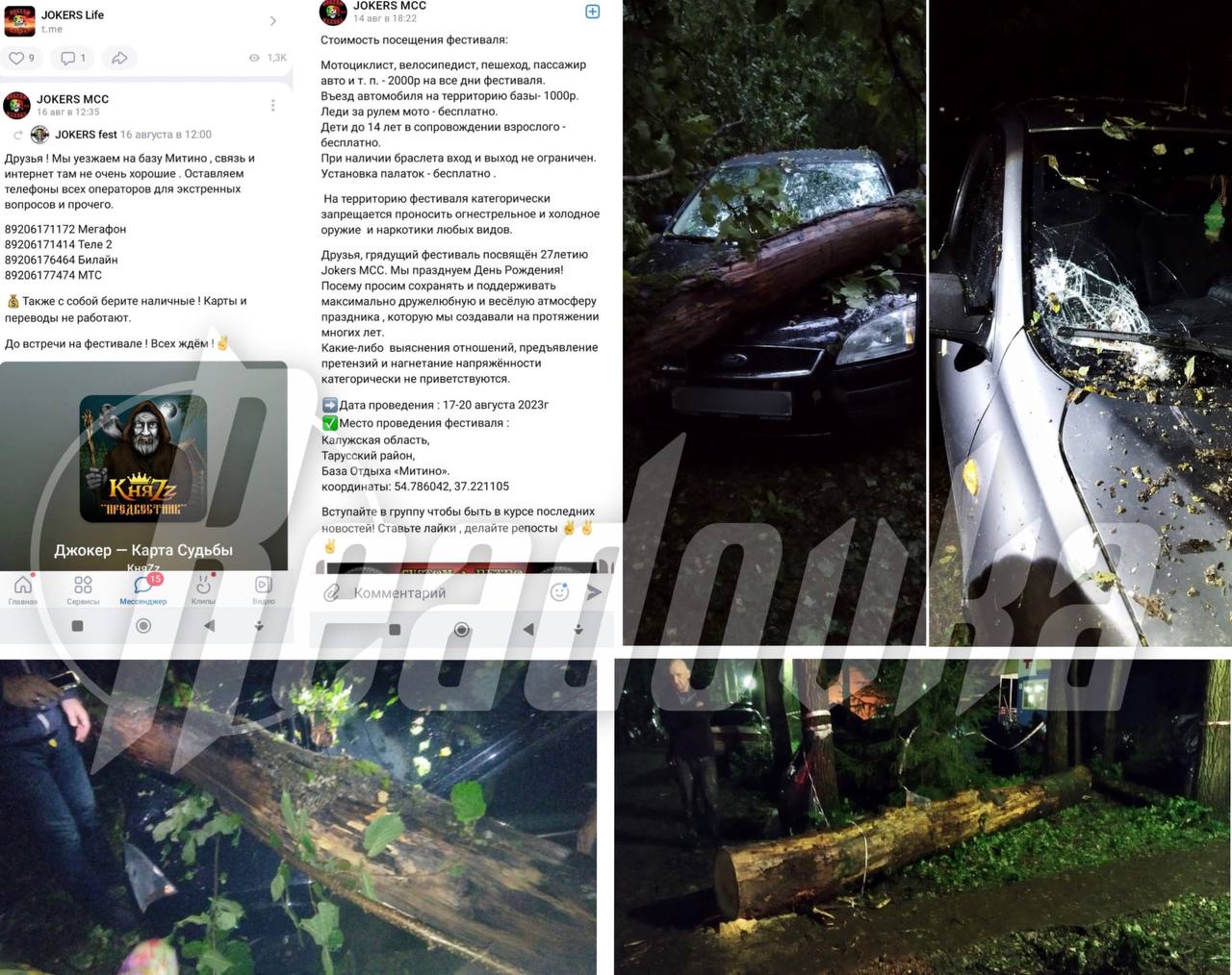 В Калужской области во время несогласованного фестиваля байкеров ураган повалил деревья на палаточный лагерь