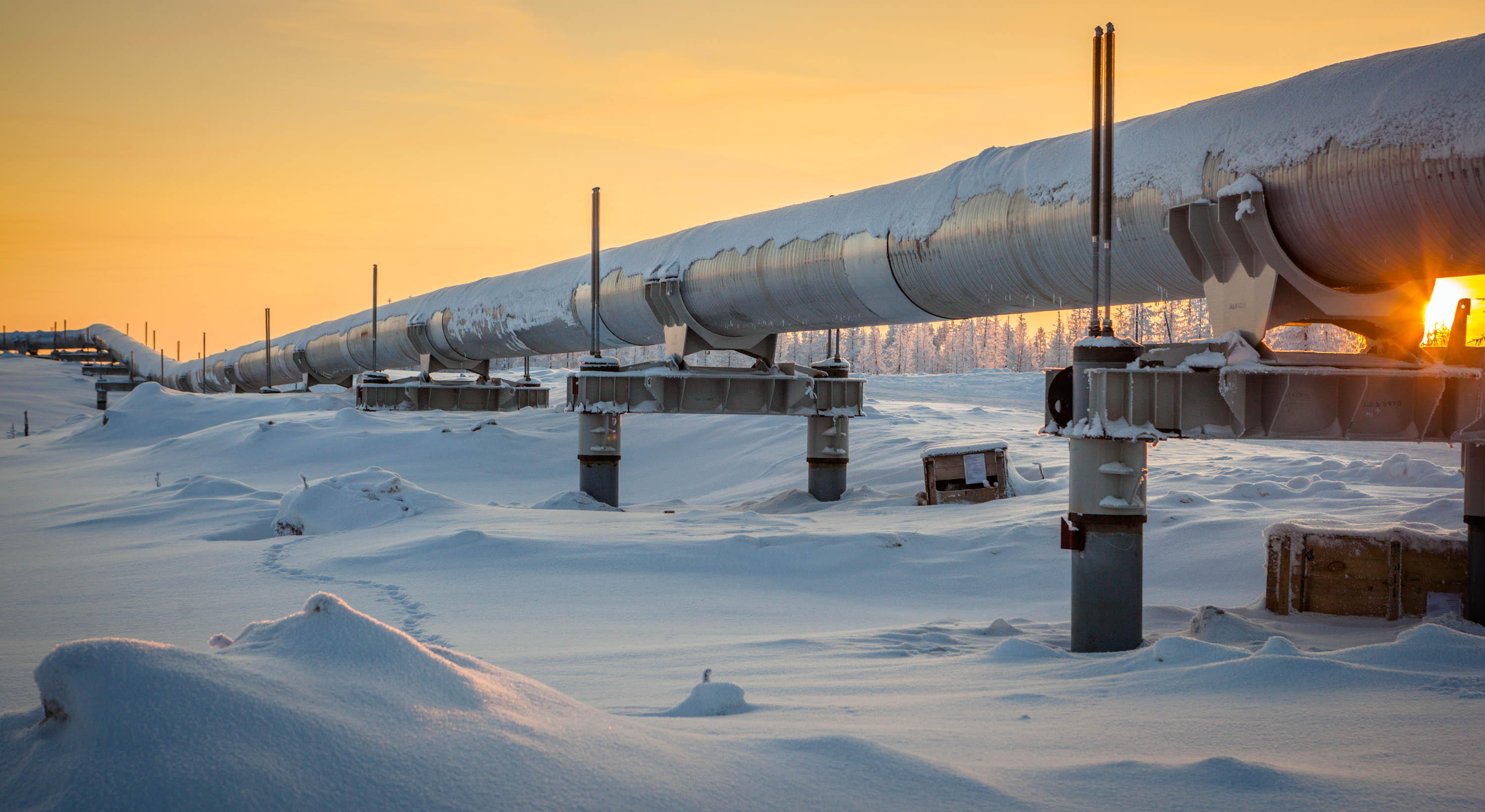 Саудовская Аравия и РФ сокращают поставки нефти в Китай