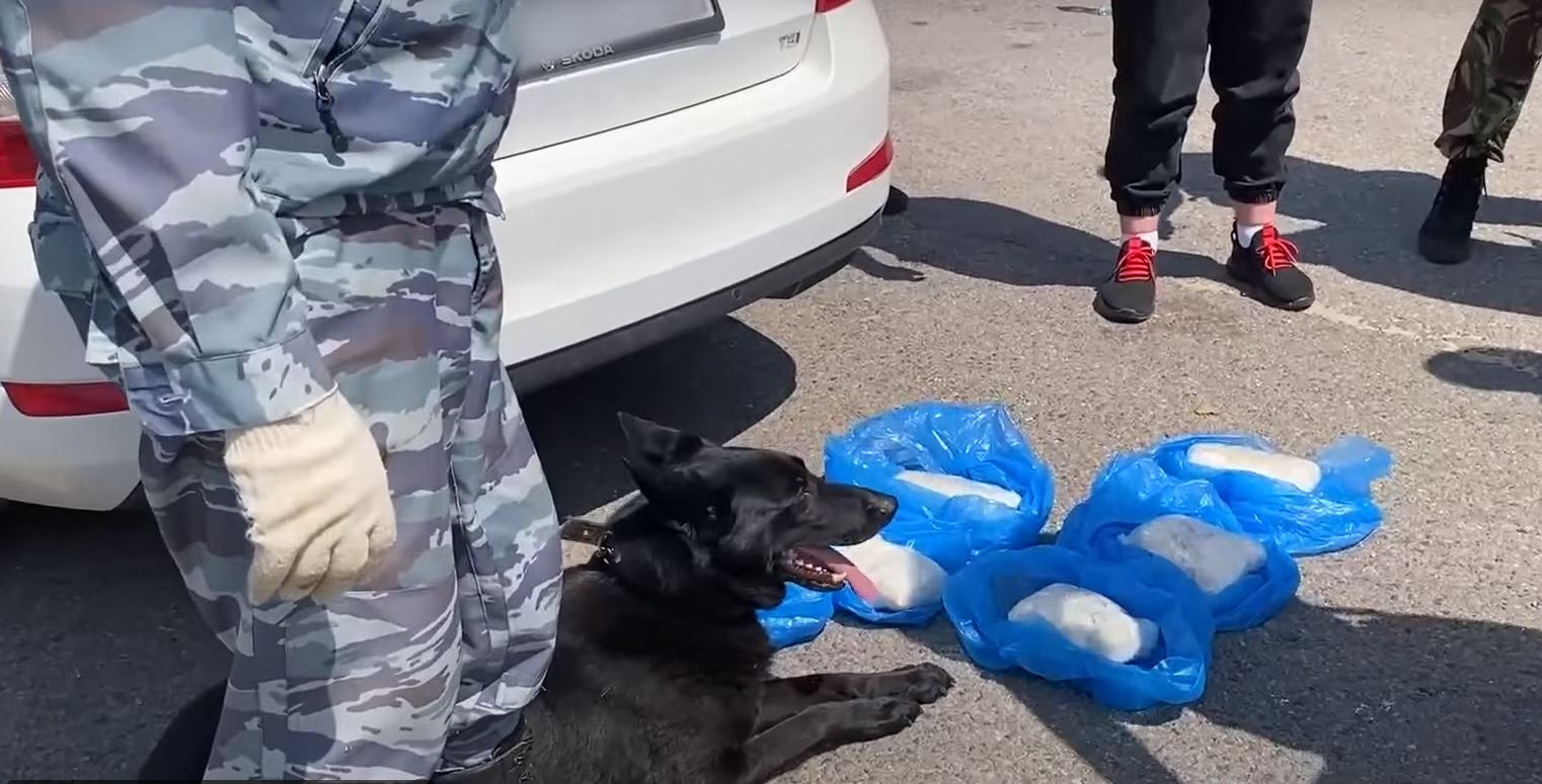 В Липецке сотрудники МВД задержали межрегионального наркокурьера