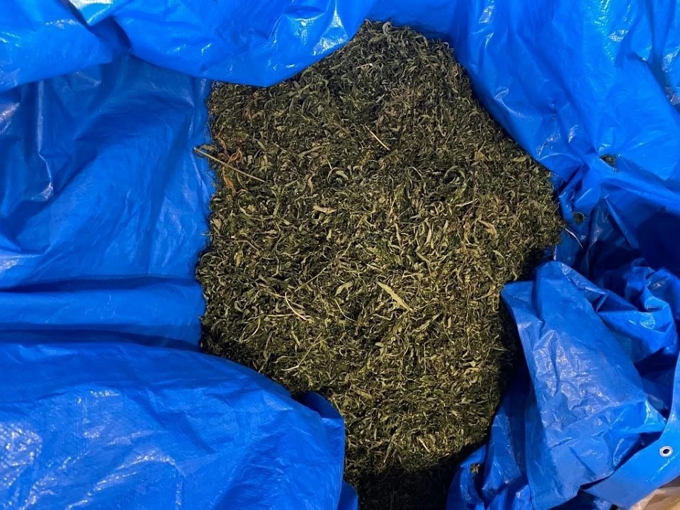 Около пяти килограммов наркотических веществ изъяли в Сахалинской области