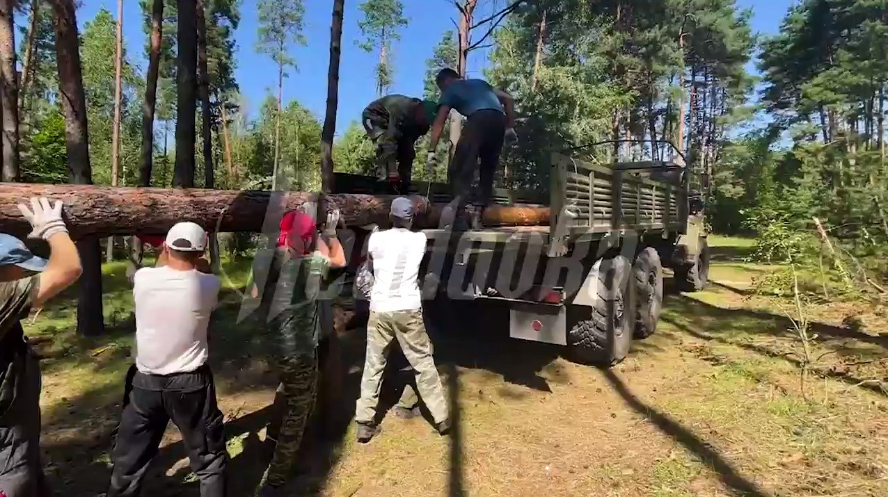 Репортаж Readovka с волонтерами, которые заготавливают бревна для солдатских блиндажей
