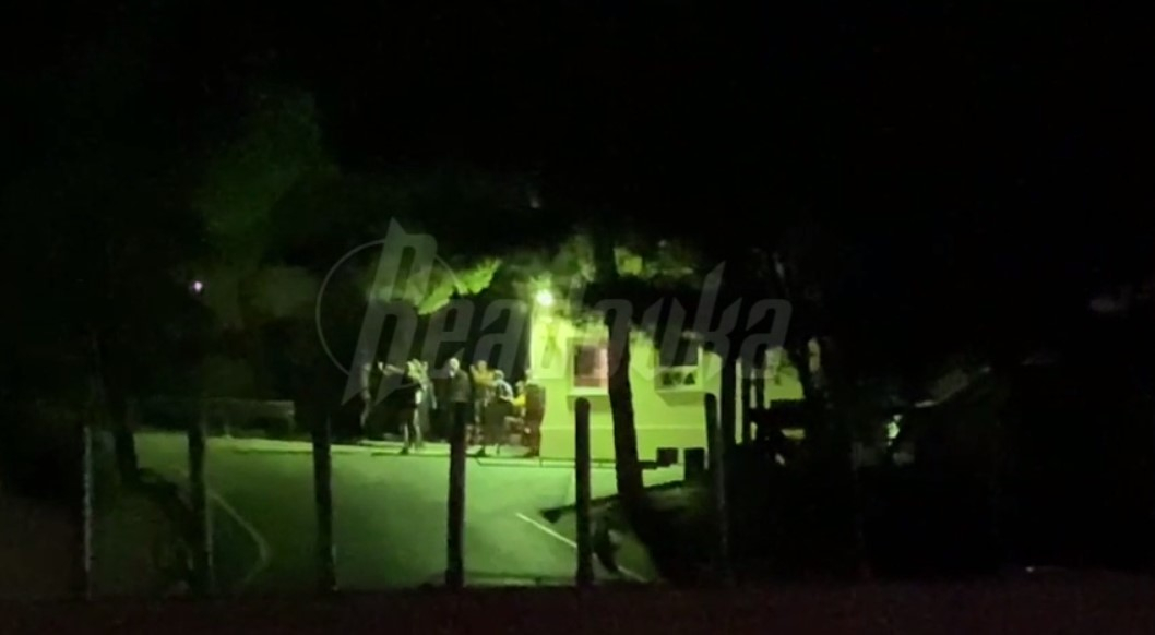 Эвакуация животных из Сафари-Парка пока не началась