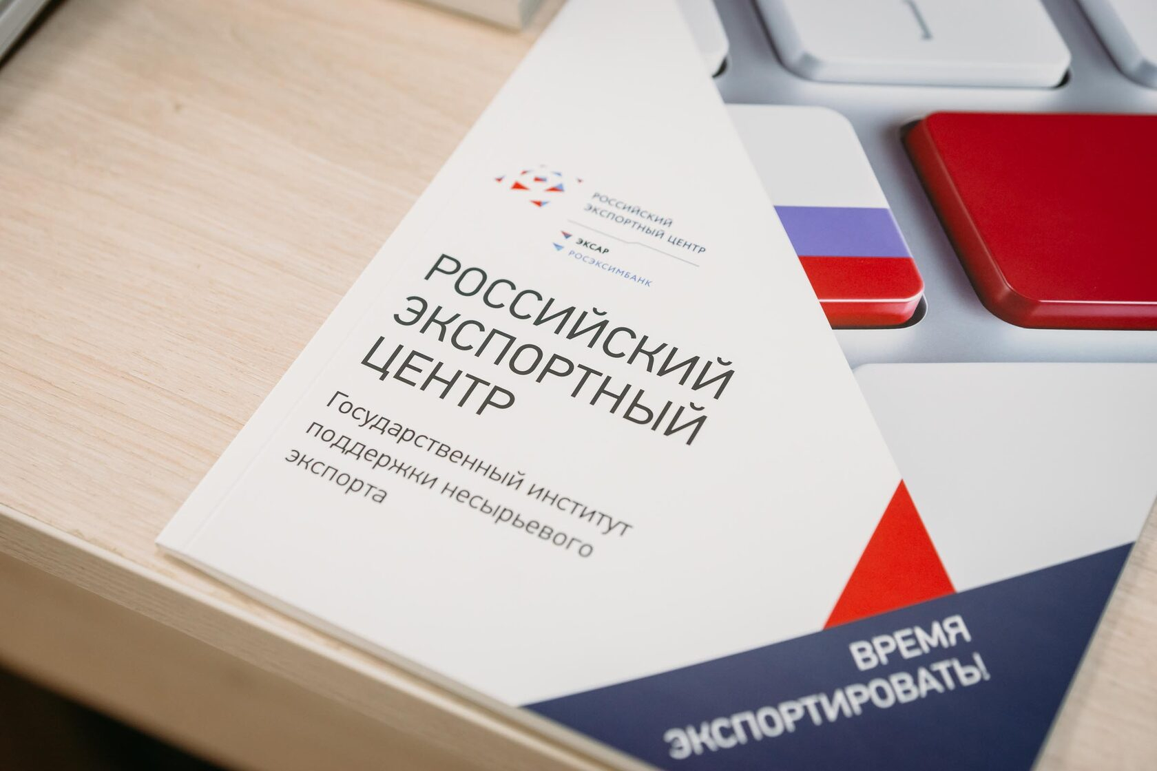 РЭЦ назвал три ключевых направления по поддержке экспортеров АПК