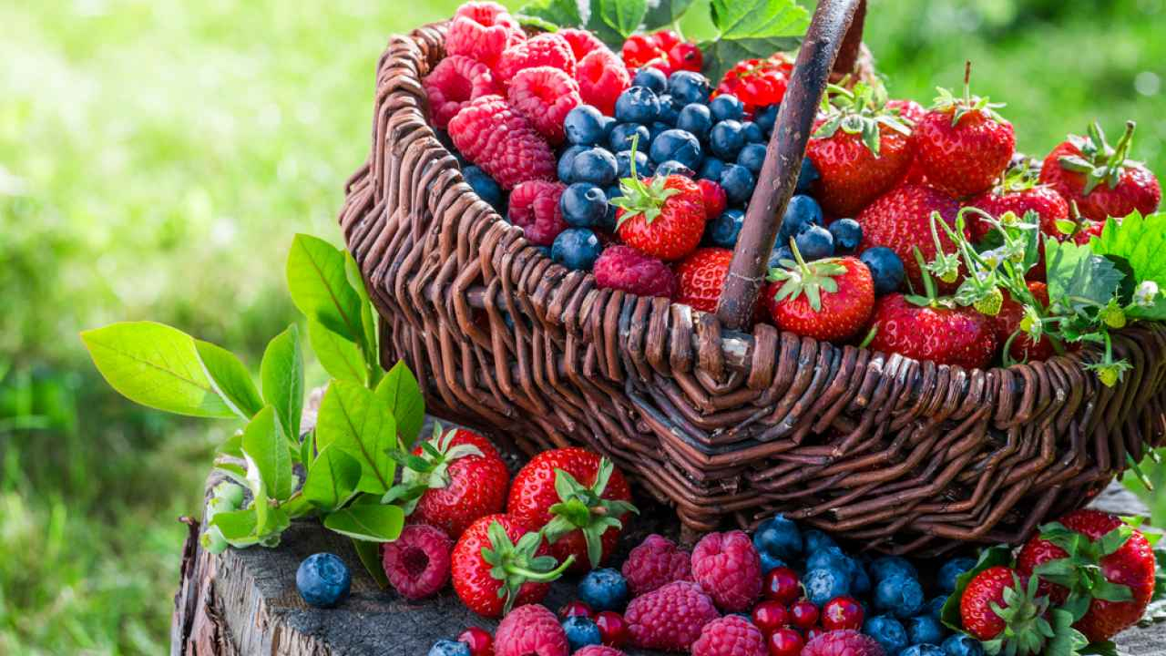 Найдены продукты, употребление которых помогает улучшить память