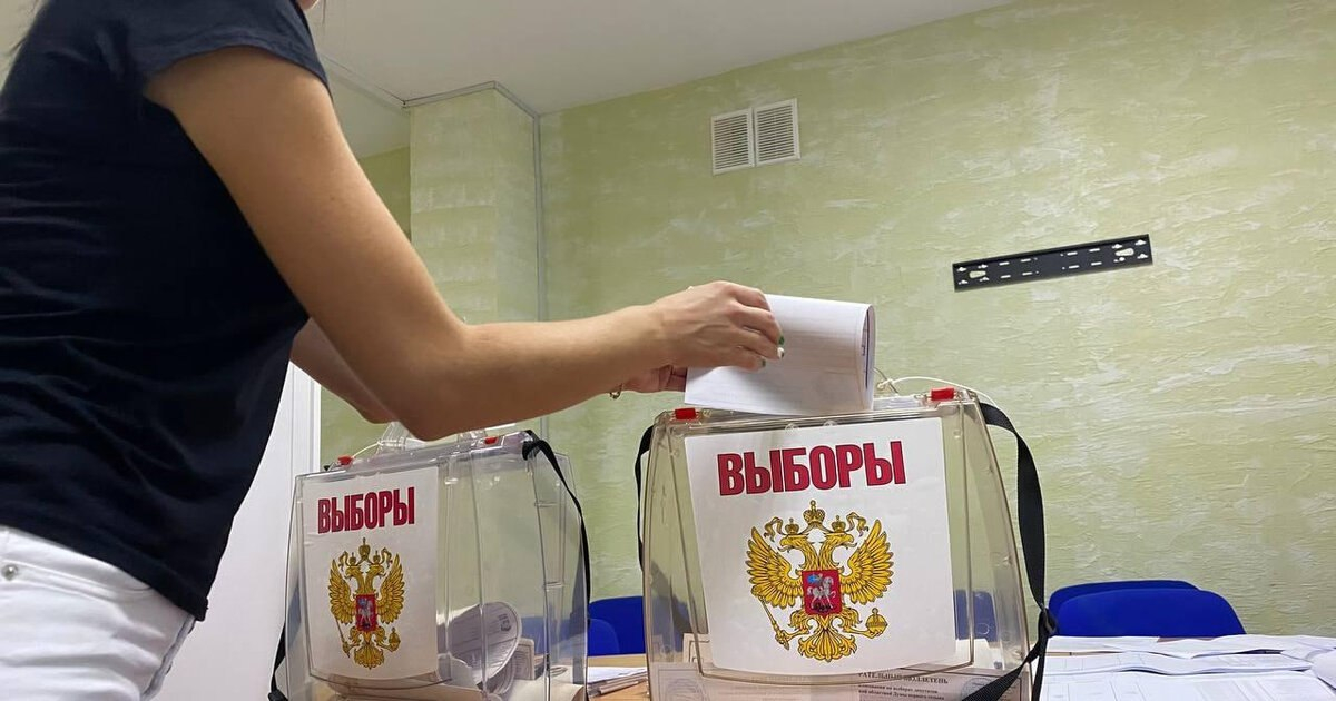 В новых территориях завершились досрочные выборы