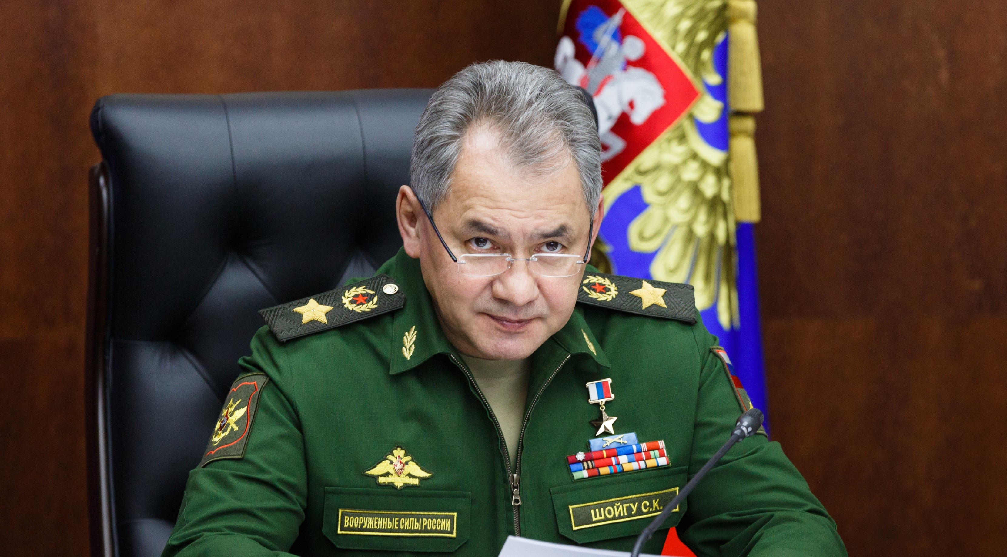 Шойгу заявил о создании девяти резервных полков для СВО