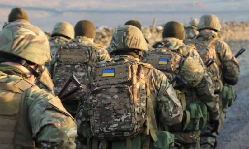 Newsweek: в элитной бригаде ВСУ начался раздор
