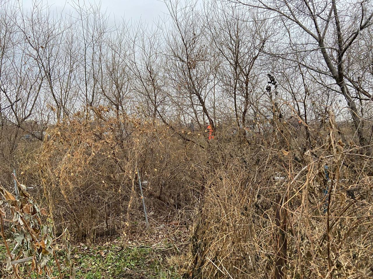 В Красноярском крае обнаружили тело школьника с ножевыми ранениями