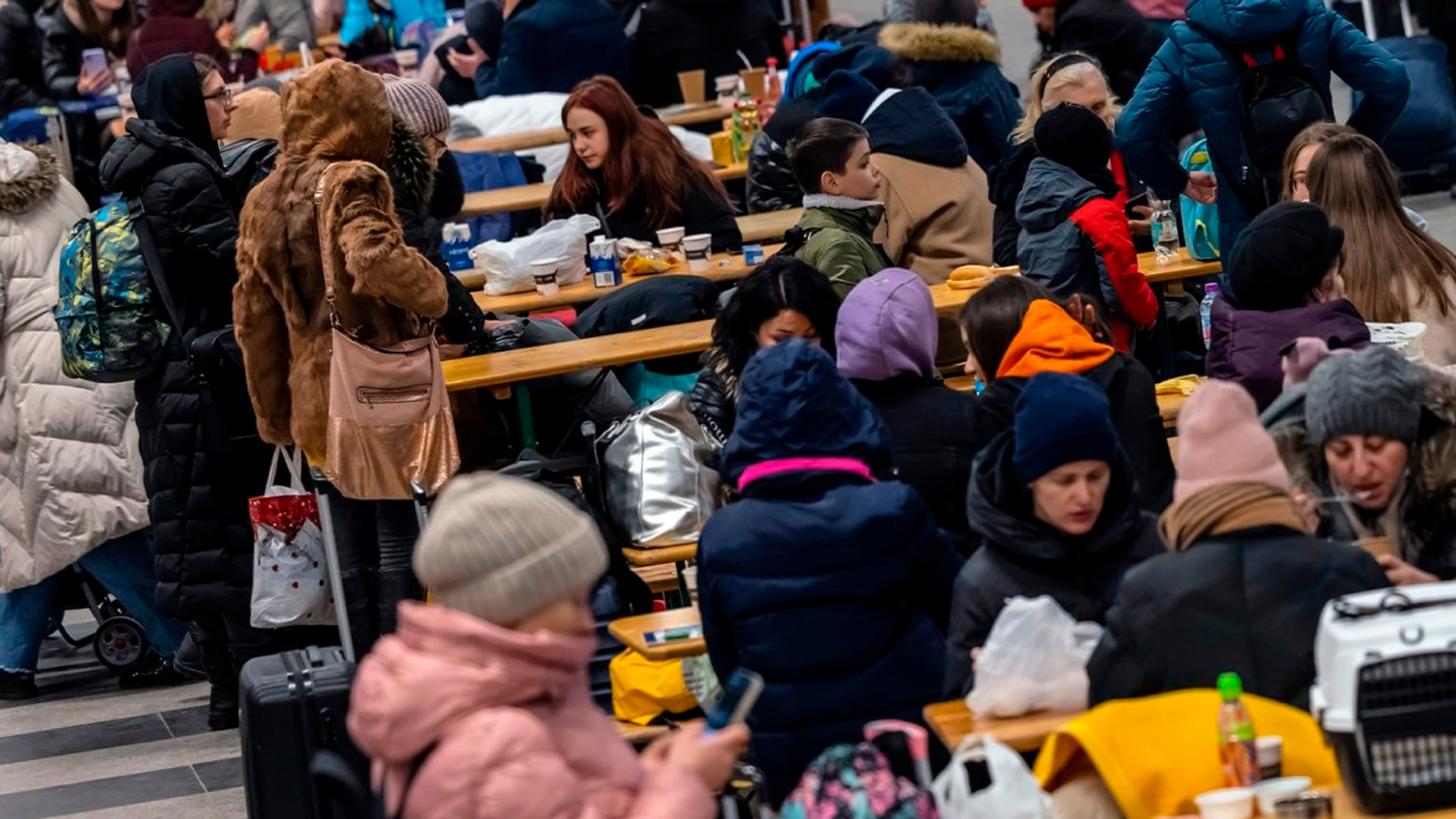 В Ирландии не осталось жилья для размещения новых украинских беженцев