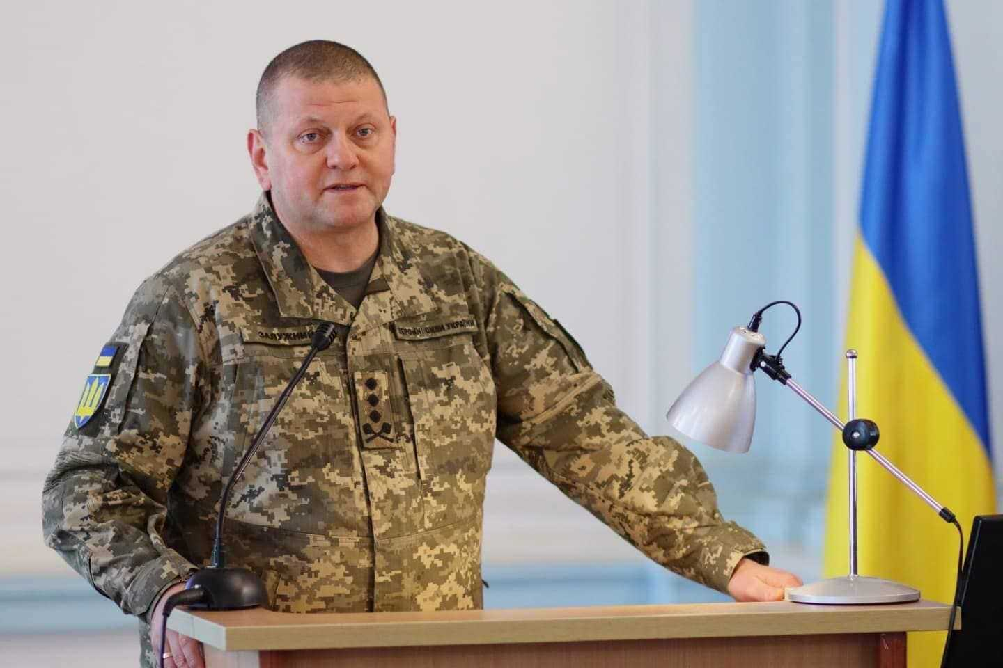 Главком ВСУ Залужный раскритиковал Зеленского за увольнение военкомов