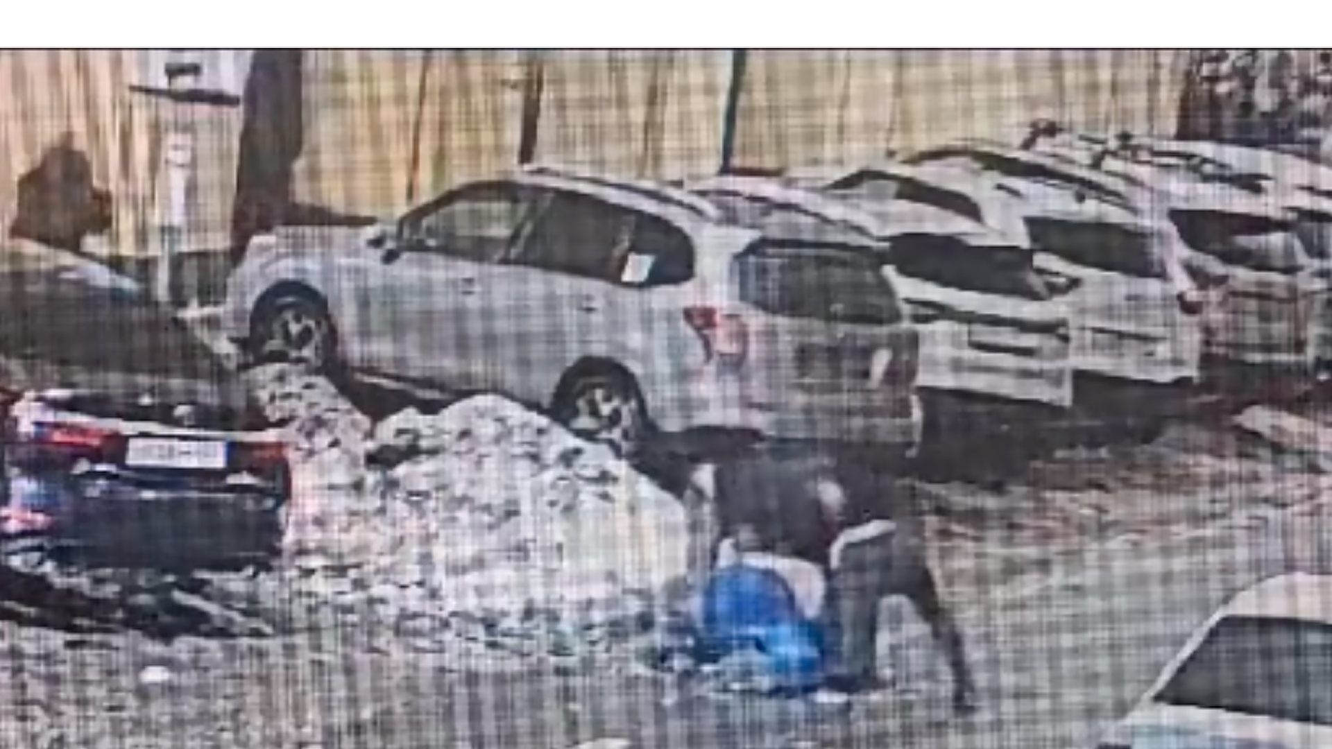 Напавшие на однорукого ветерана СВО в Петербурге выкрикивали русофобские лозунги