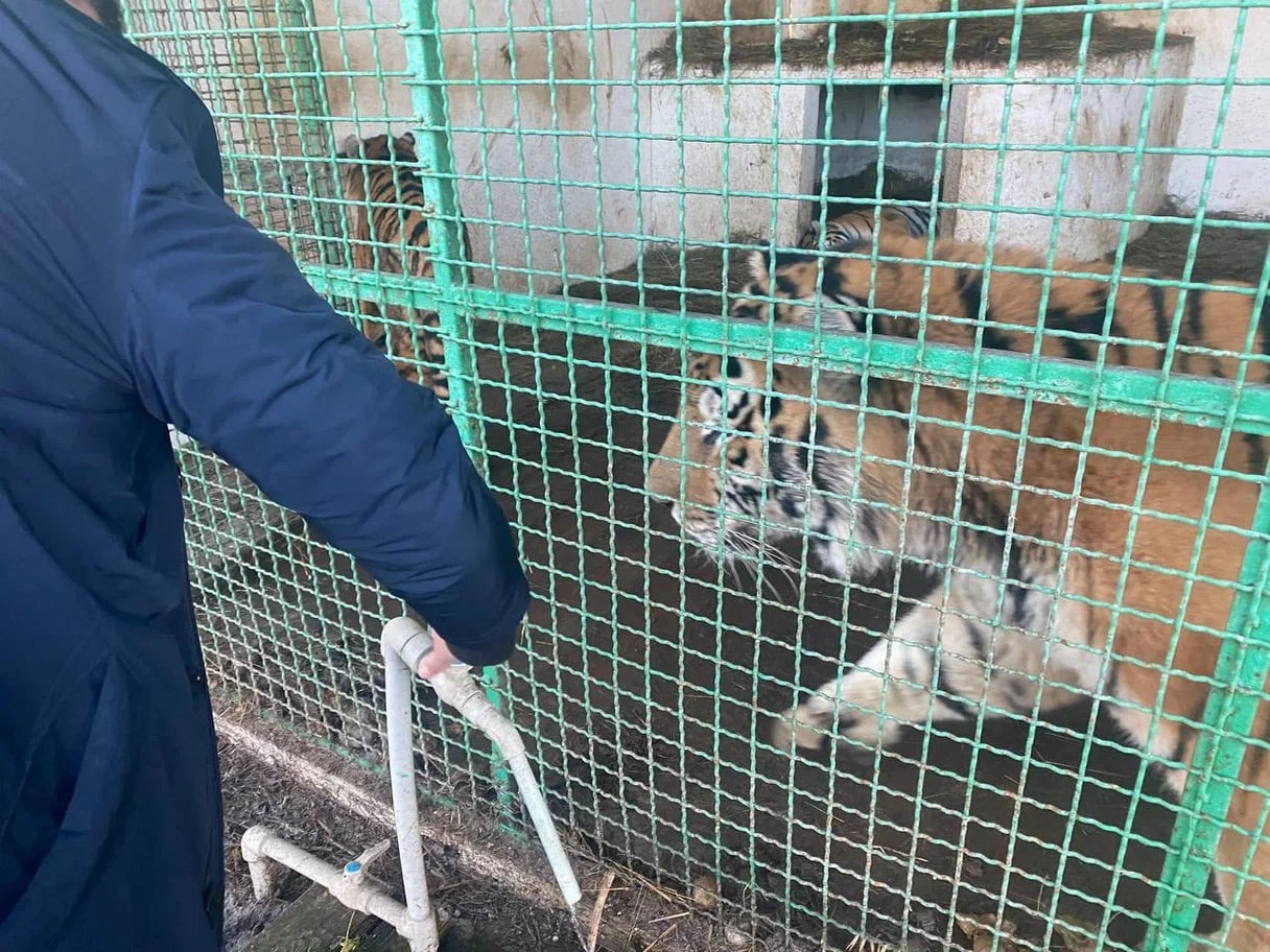 Московский зоопарк оказал срочную помощь херсонскому сафари-парку, пострадавшему из-за шторма