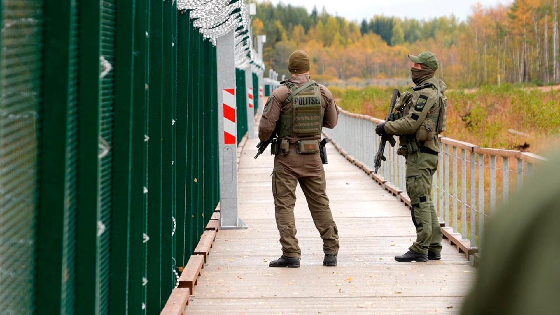 Эстония готова выдавать Киеву украинских призывников