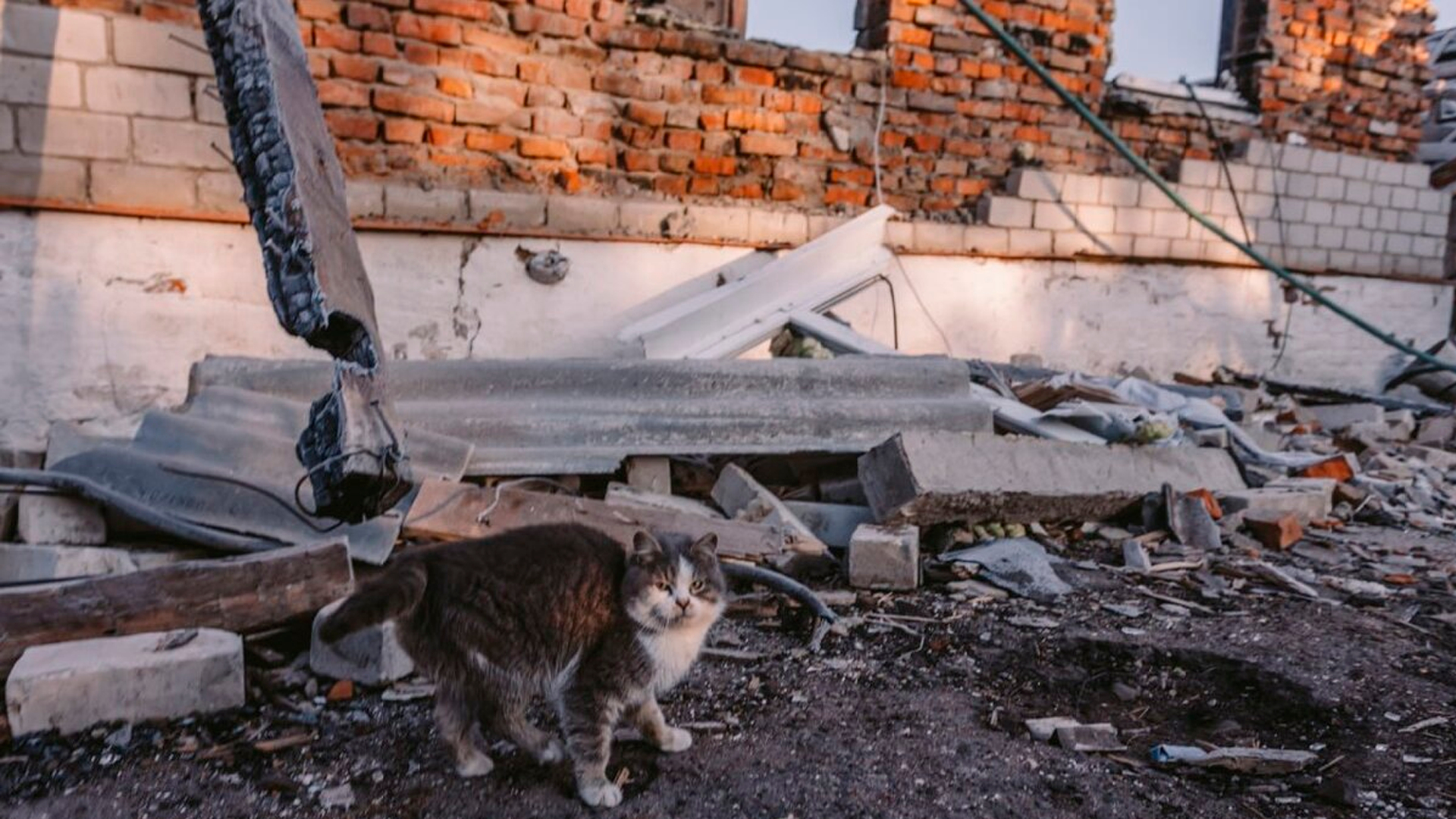 В результате обстрела села в Курской области погиб один человек