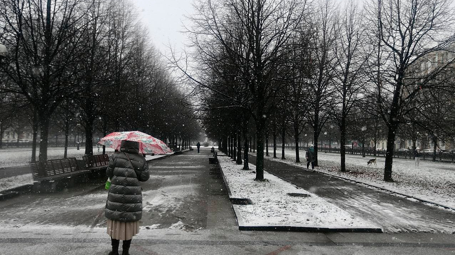 Вильфанд: москвичей ожидает «мягкая зима»