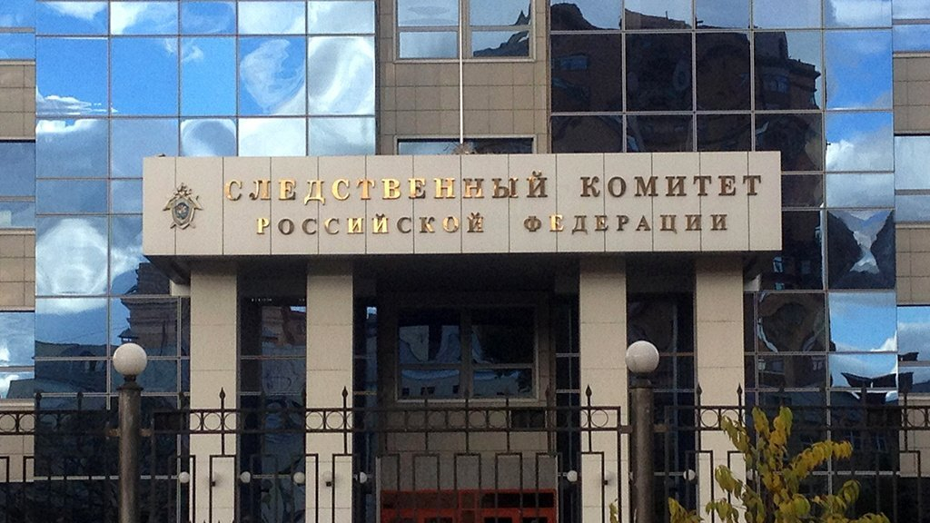 Бастрыкин поручил возбудить дело против бросившего младенца в снег блогера Косенко