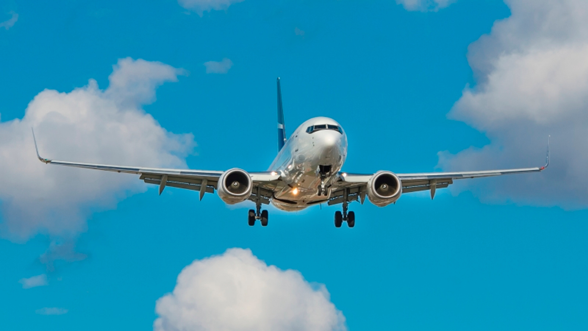 Глава Boeing признал проблемы с лайнерами 737 MAX из-за оторвавшейся в полете двери