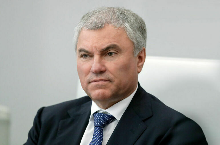 Володин призвал Генпрокуратуру жестче реагировать на ситуации вроде вечеринки Ивлеевой