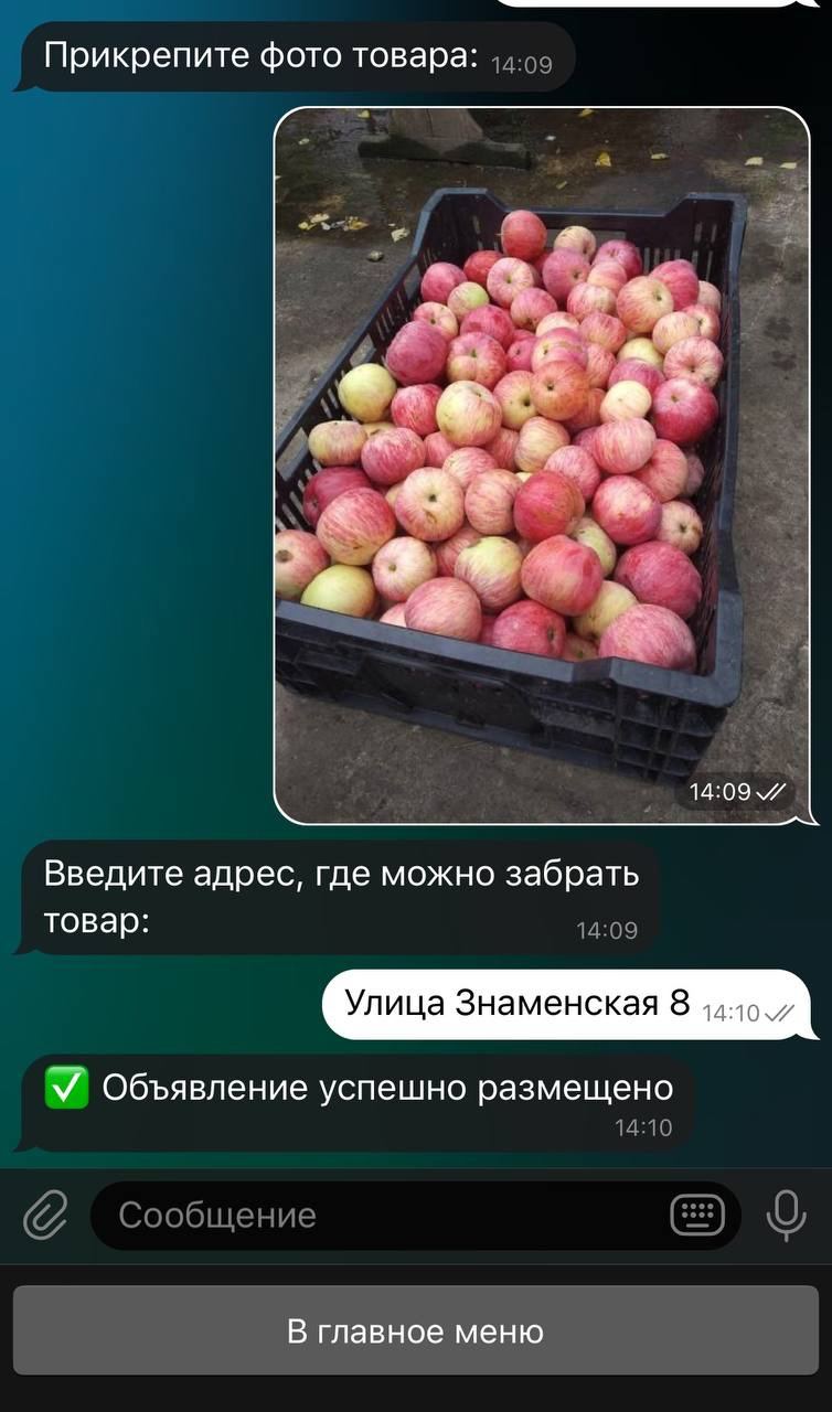 Студент МАИ разработал экологичный сервис реализации «просрочки»
