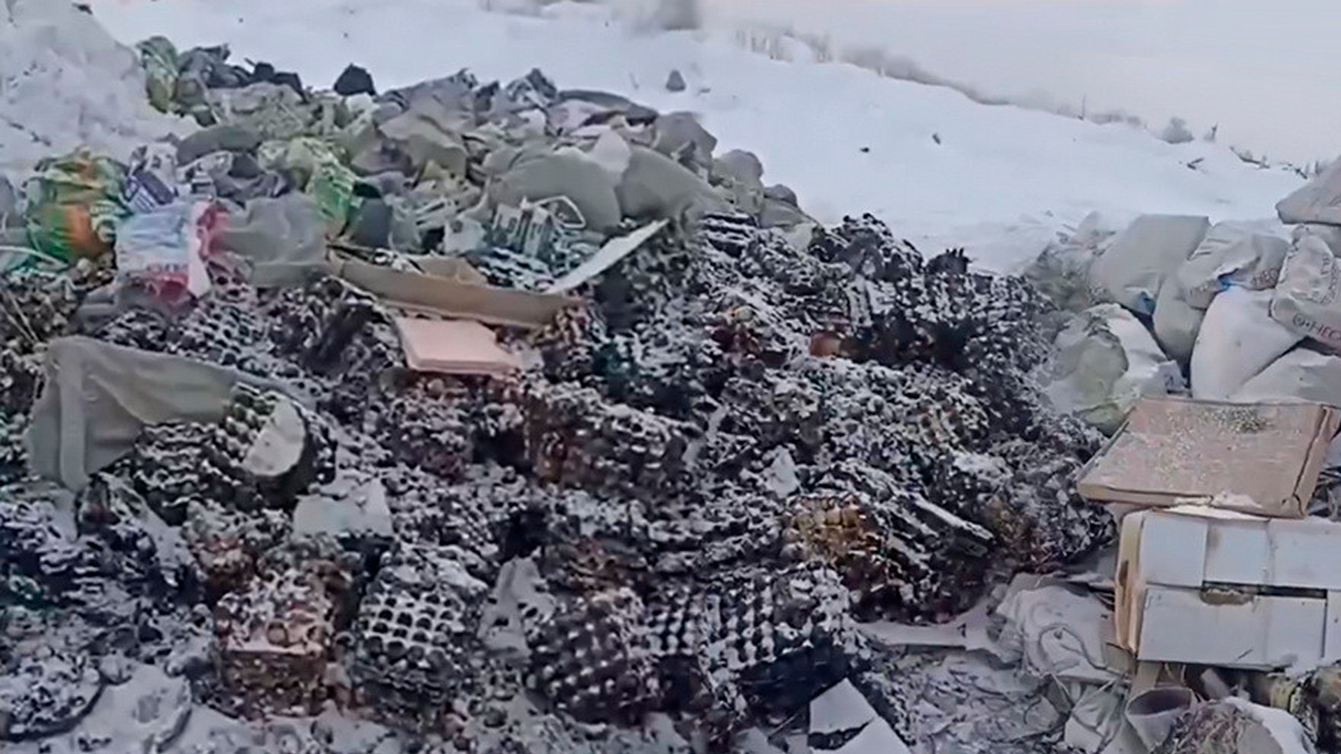 В Омске появилась огромная свалка куриных яиц