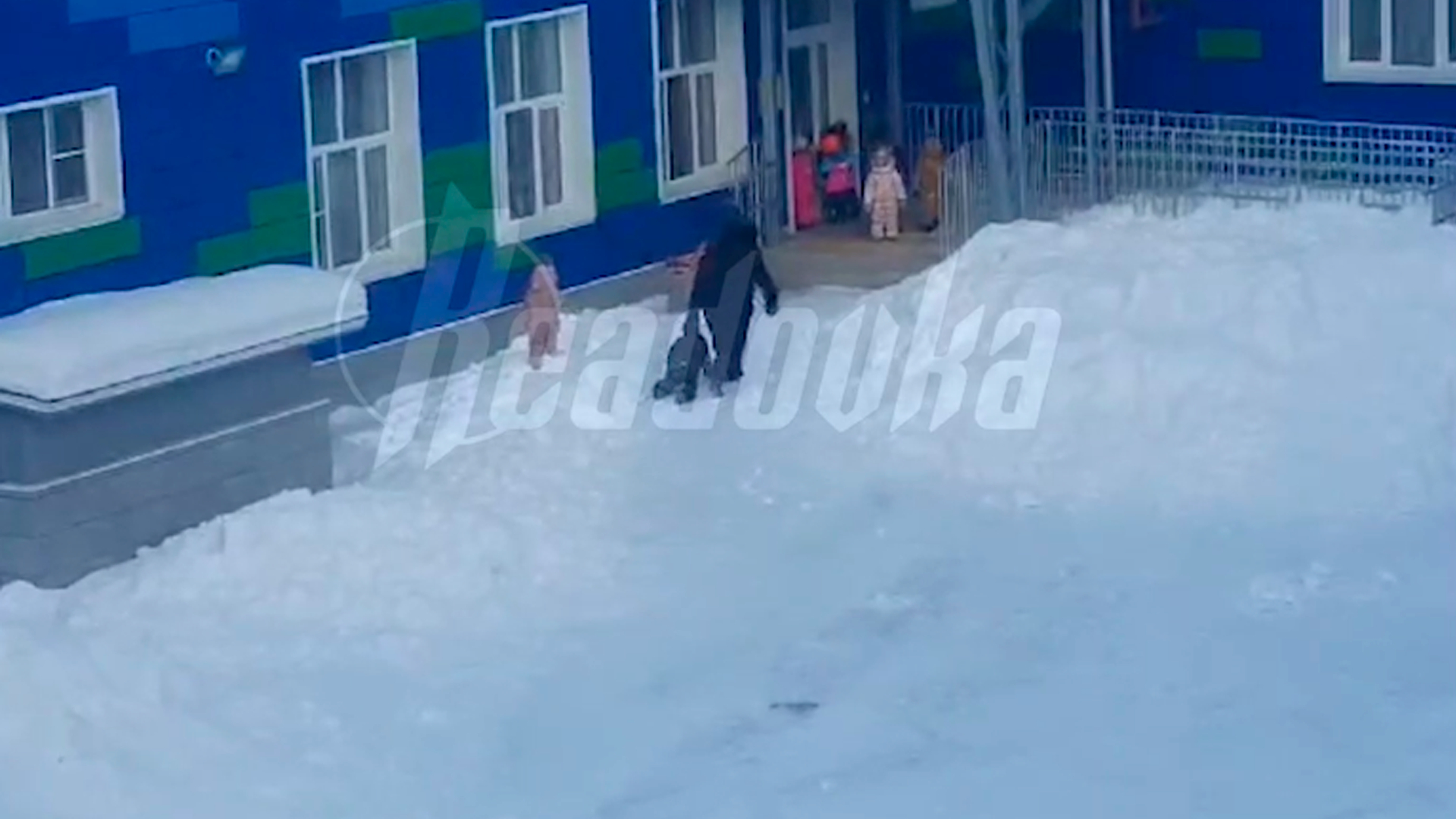 На Камчатке воспитательница детсада протащила ребенка за шиворот по снегу