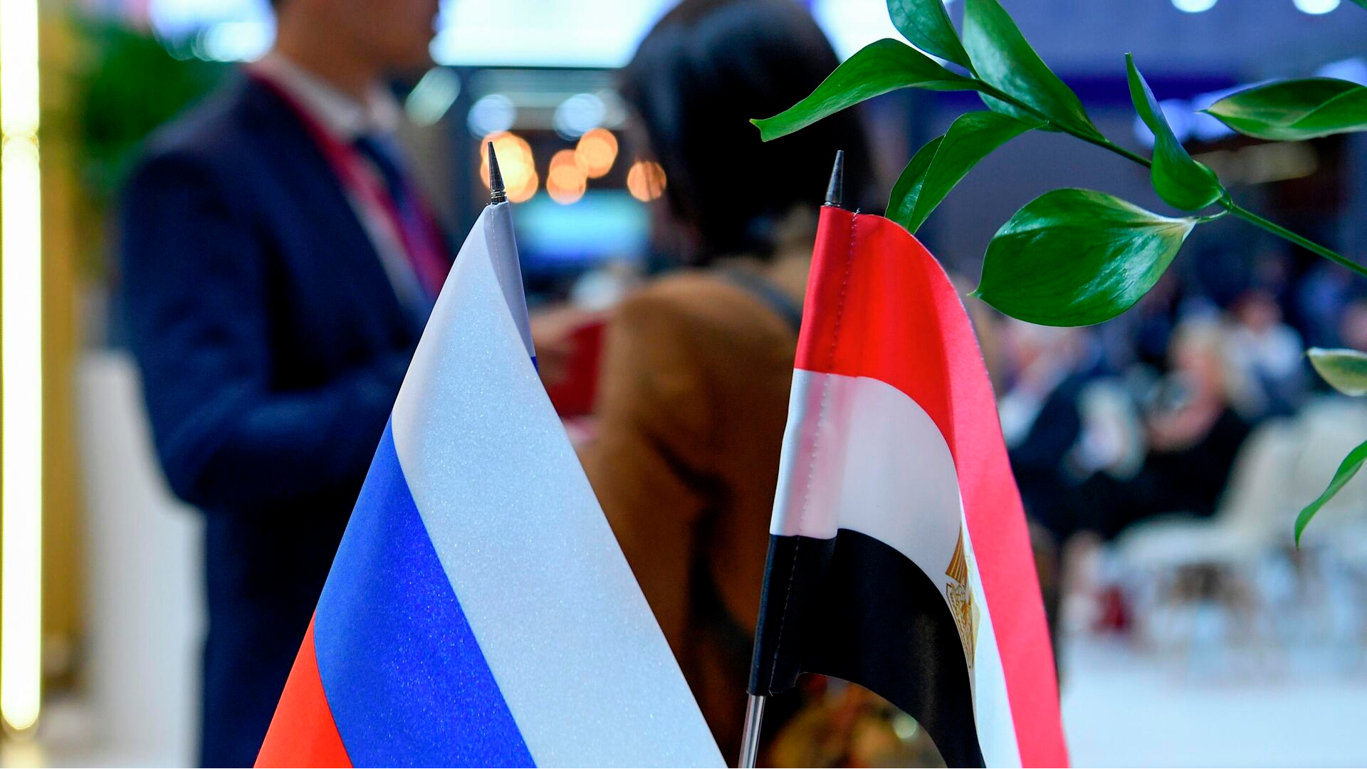 Меморандум о взаимопонимании и сотрудничестве заключили ФАС России и Конкурентное ведомство Египта