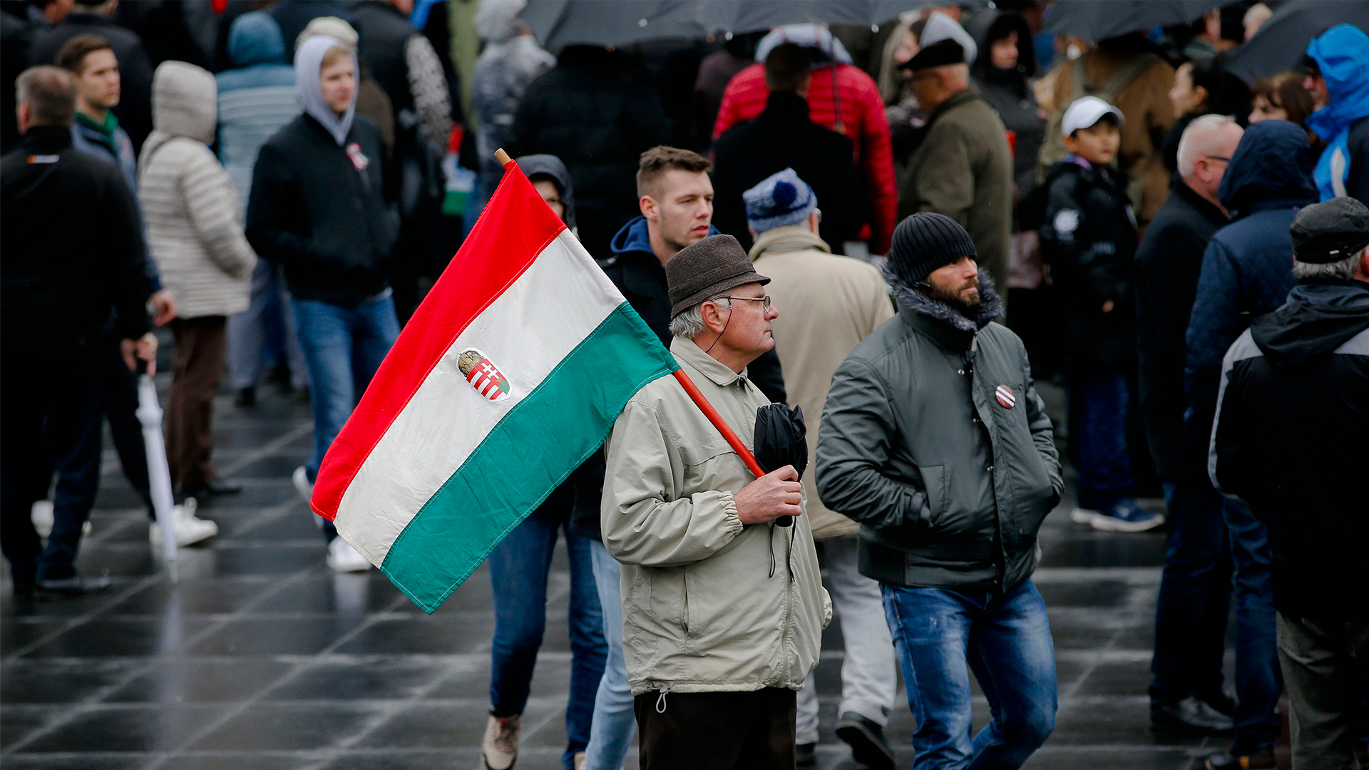 Закарпатским венграм на Украине начали поступать угрозы