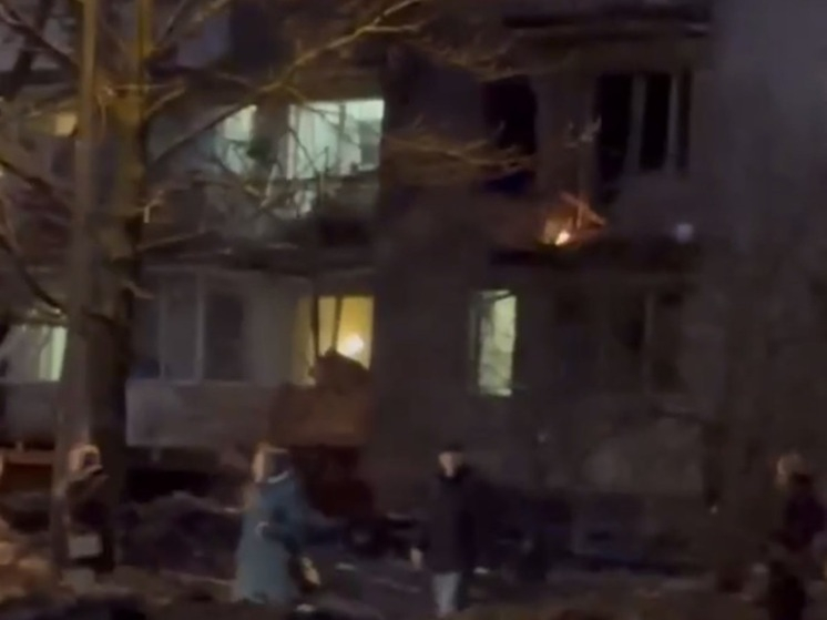 Пес спас жительницу петербургского дома, в который врезался украинский БПЛА