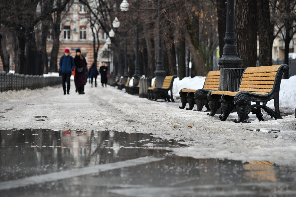 Синоптик Шувалов спрогнозировал приход весны в Москву