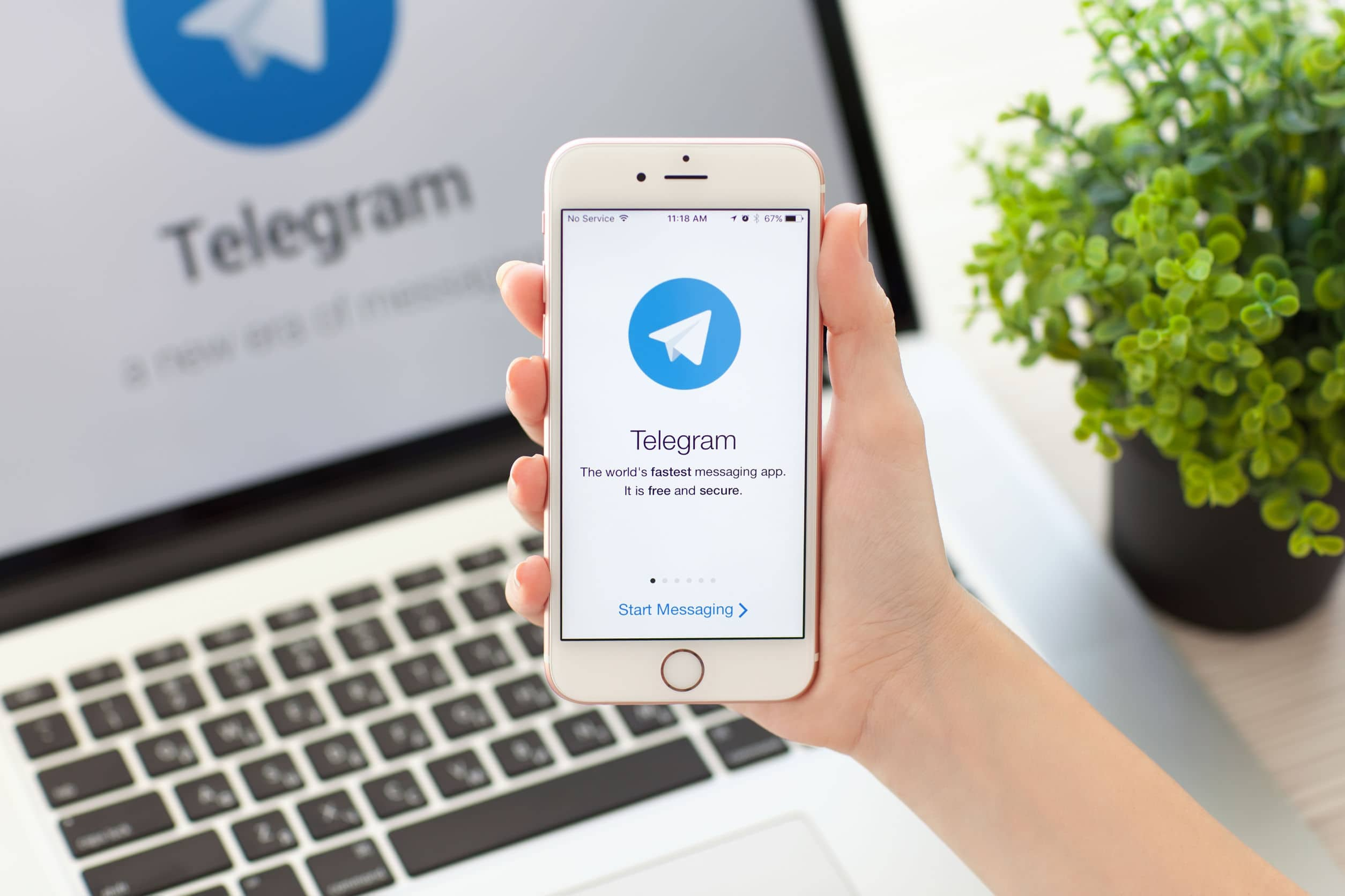 Павел Дуров: аудитория Telegram достигла 900 млн человек