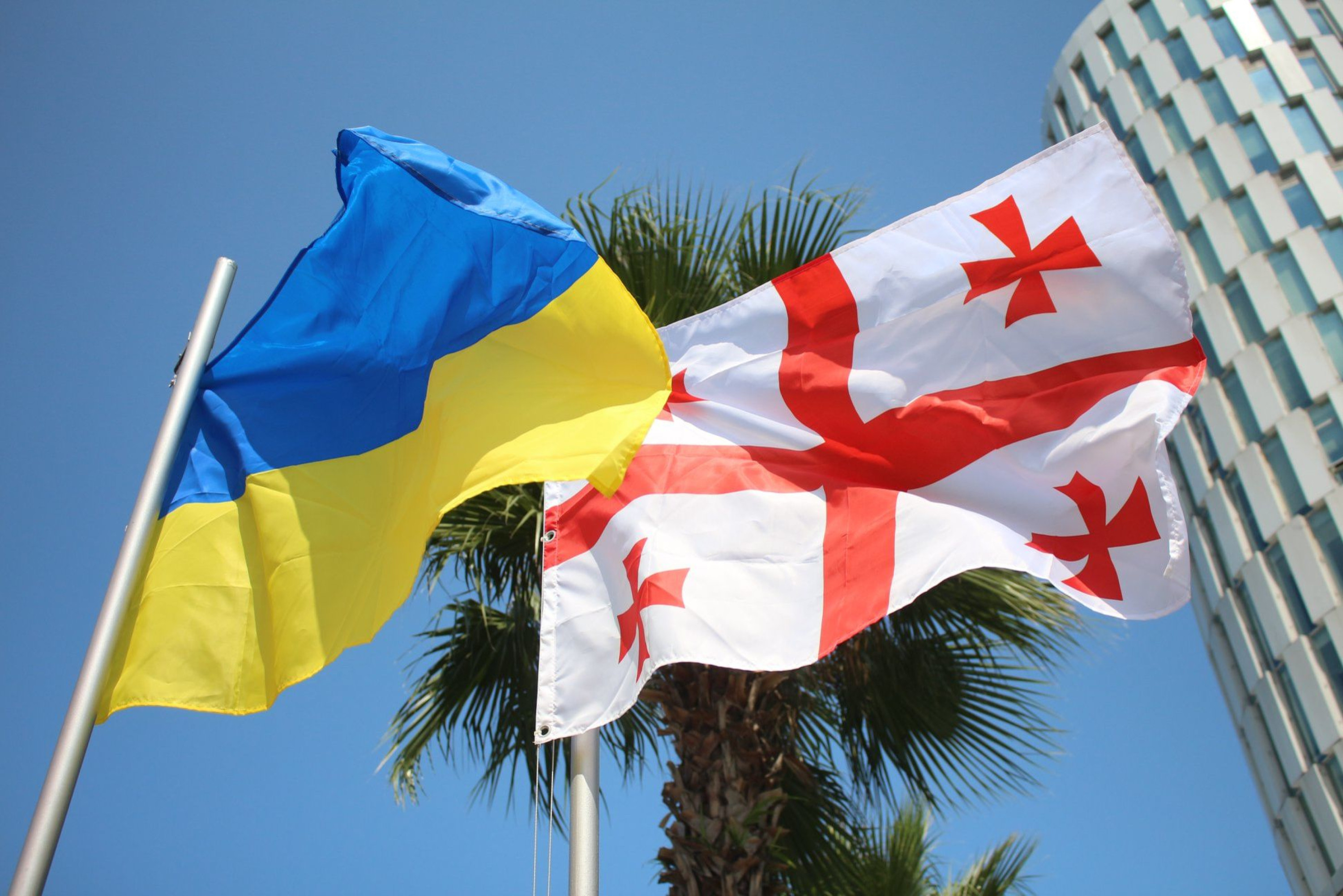 Политолог Михайлов объяснил обострение отношений между Украиной и Грузией