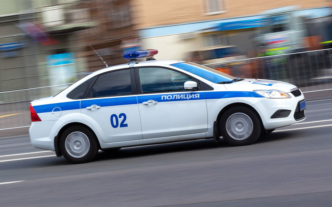 На Алтае мужчина со школьником расстреляли кошку с котятами
