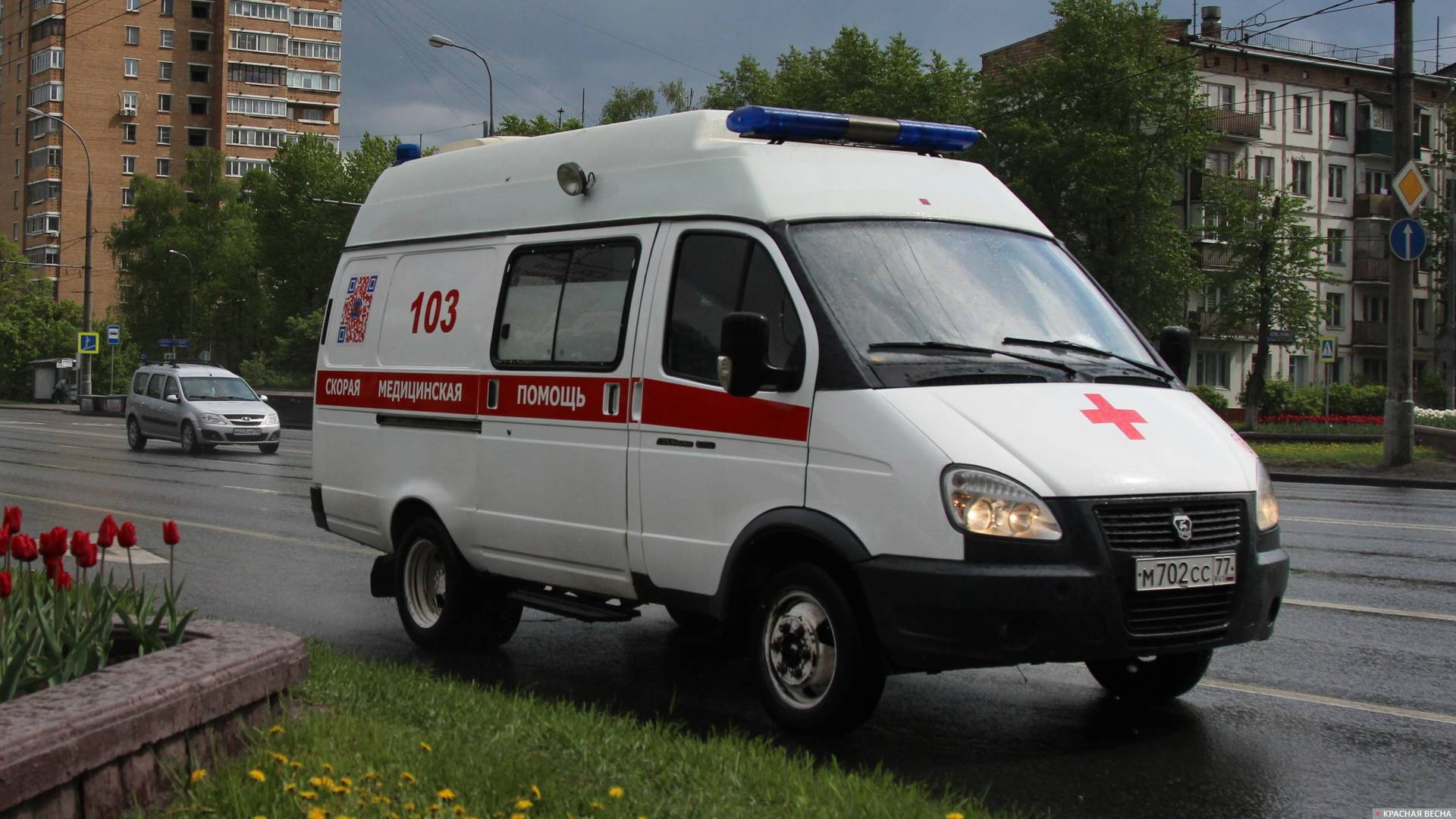 Число пострадавших при теракте в «Крокус Сити Холле» выросло до 152