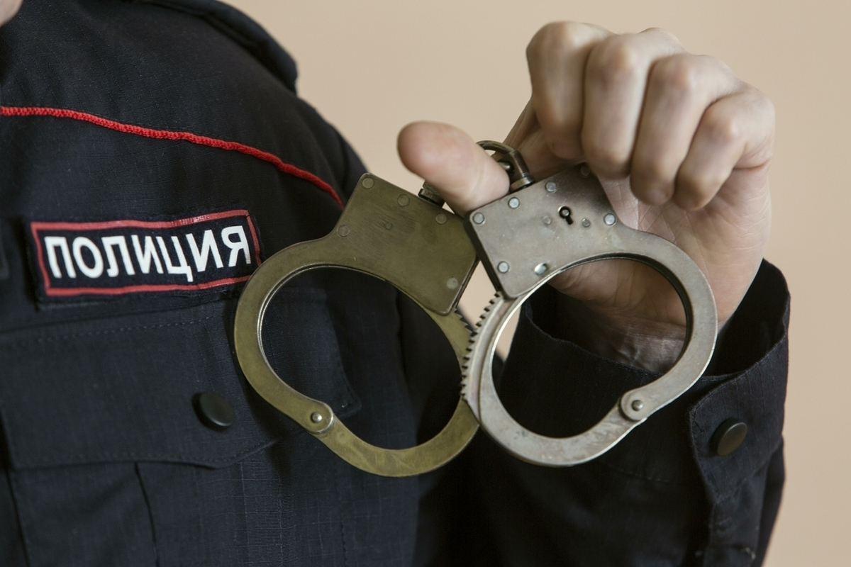 В Москве задержали мигрантов, избивших семью учителей