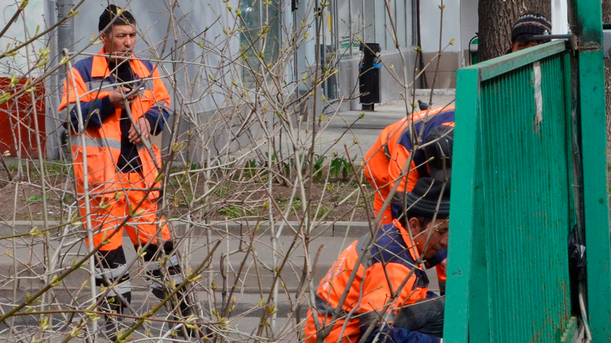 Бизнес-омбудсмен Петербурга пожаловался на нехватку мигрантов