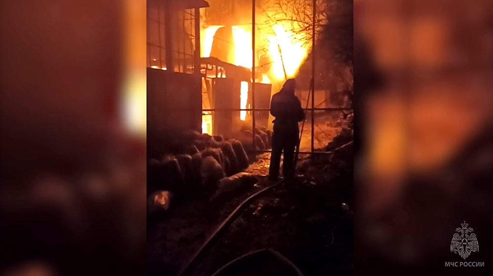 В Евпатории более 200 животных погибли при пожаре в зоопарке