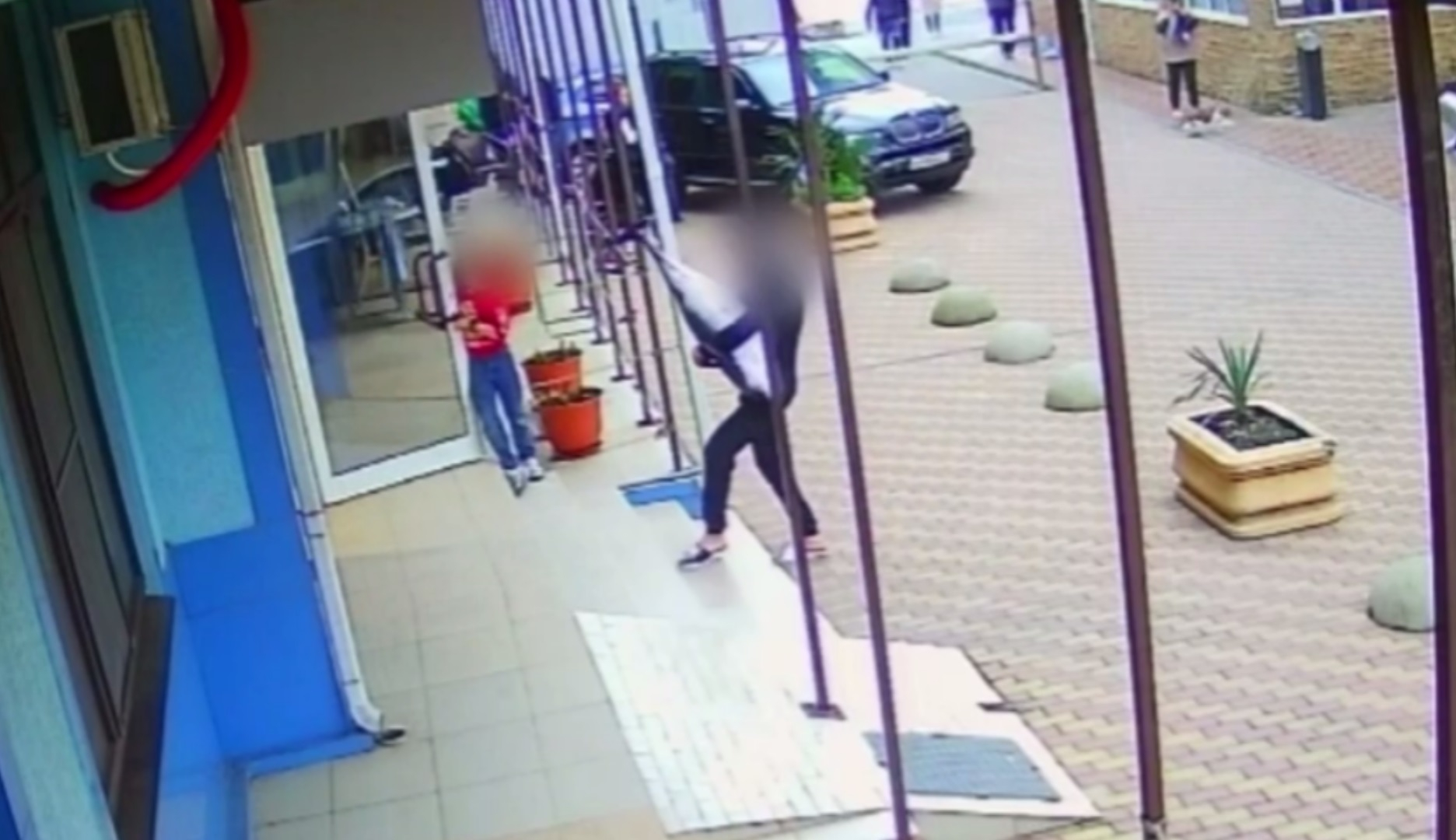 В Сочи задержали гулявшего с мертвым дельфином жителя Подмосковья