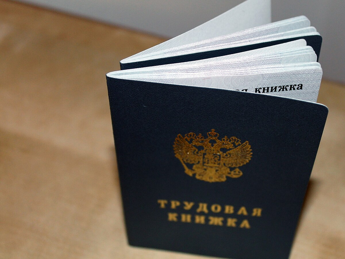 Сибирский депутат Собканюк предложила загонять безработных в трудовые лагеря