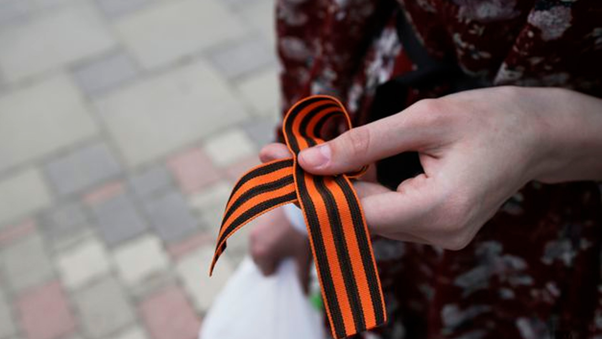 «Германское подполье»: политолог Михайлов оценил запрет ФРГ носить георгиевские ленты на День Победы