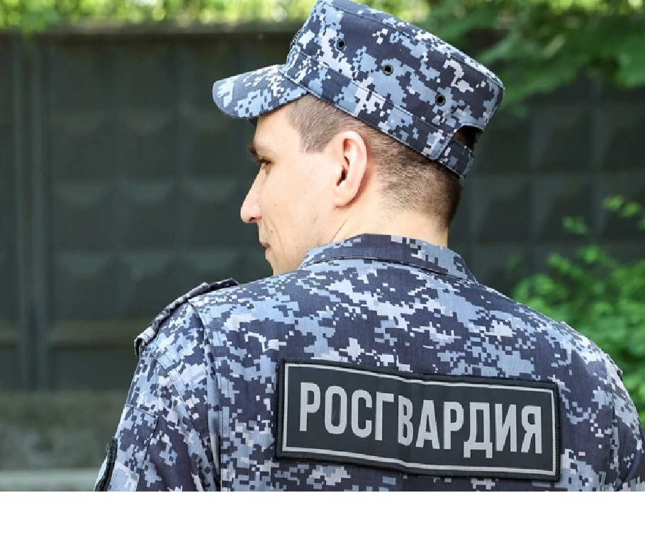 В ДНР задержали семерых пособников ВСУ