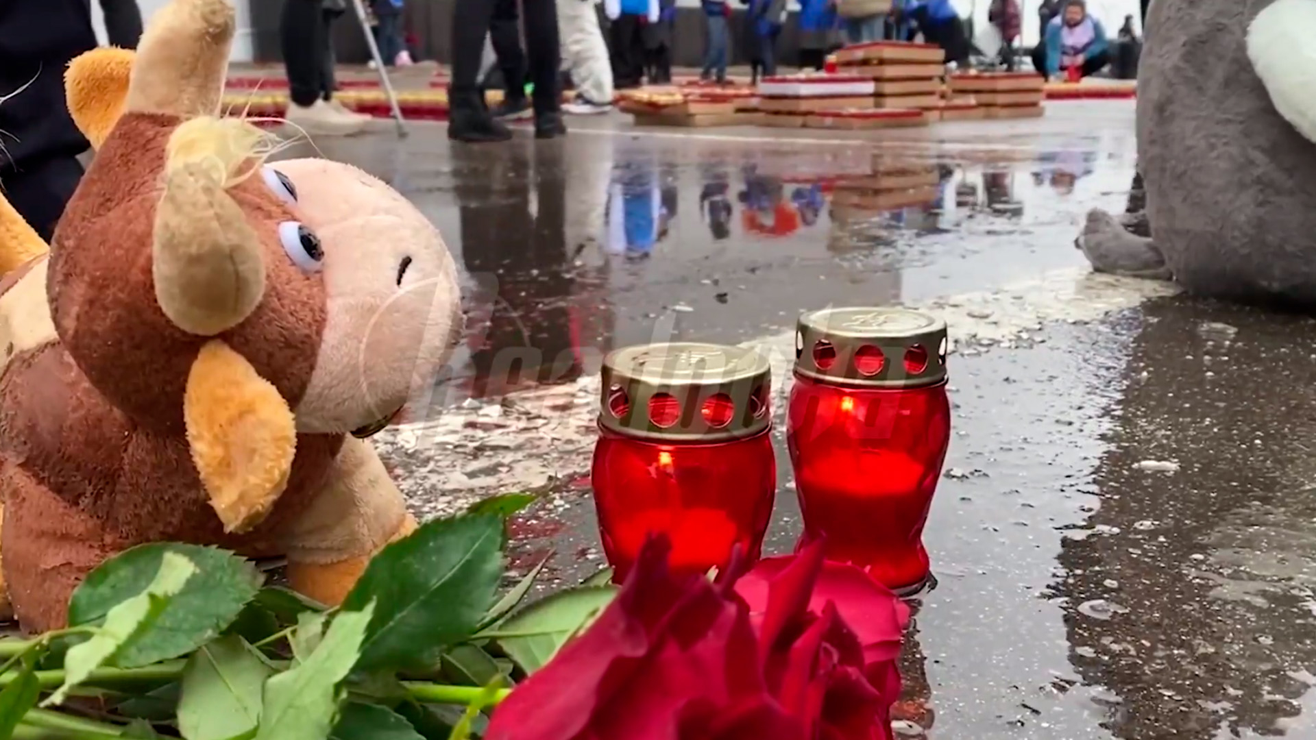 СК завел уголовное дело об оказании не соответствующих требованиям безопасности в «Крокусе»