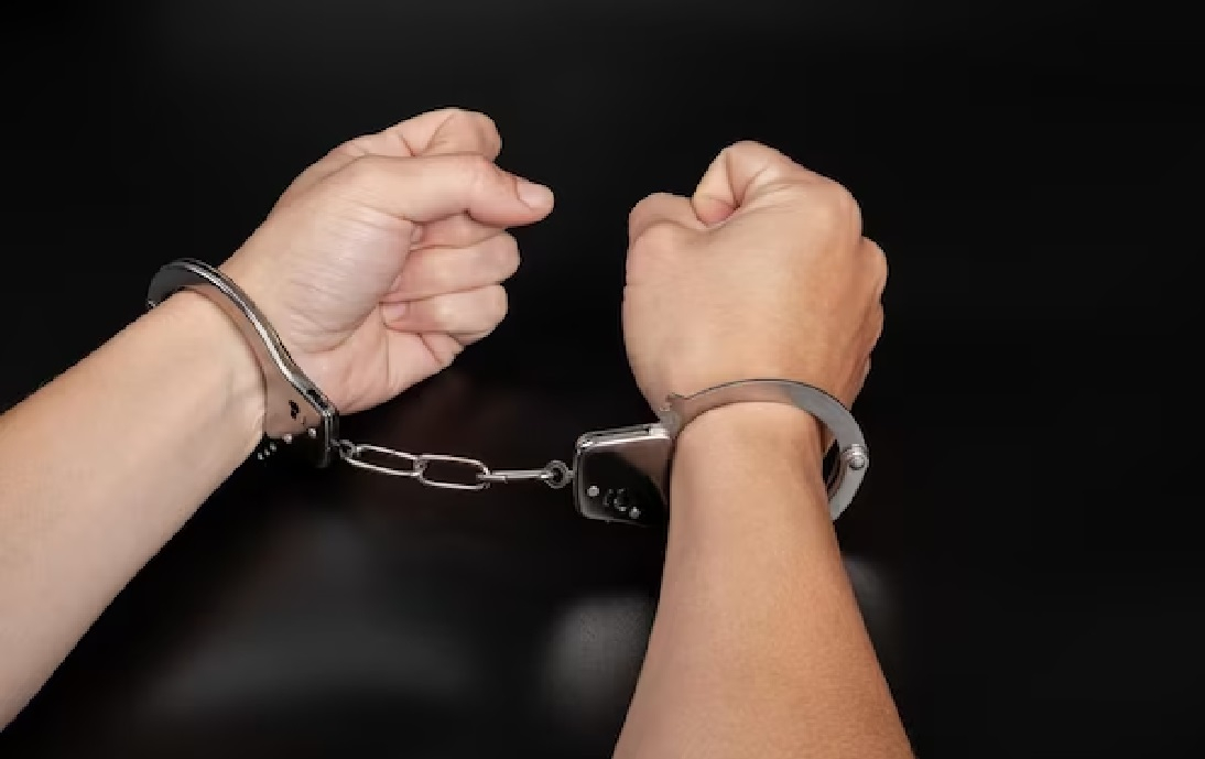 В Приморье банда помогала мигрантам усыновлять детей ради ВНЖ